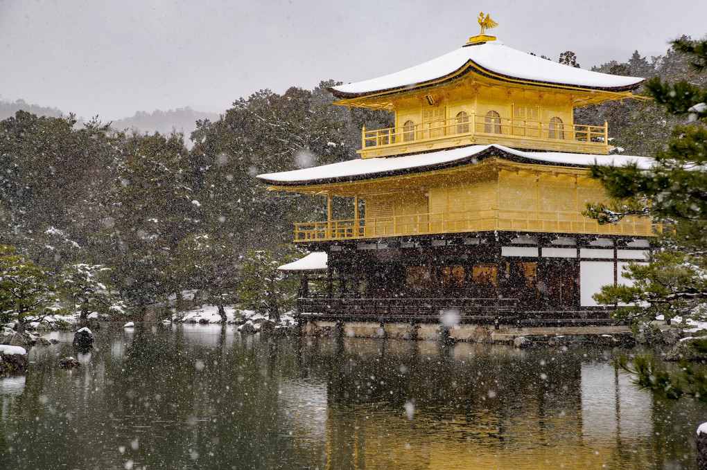 雪の金閣寺