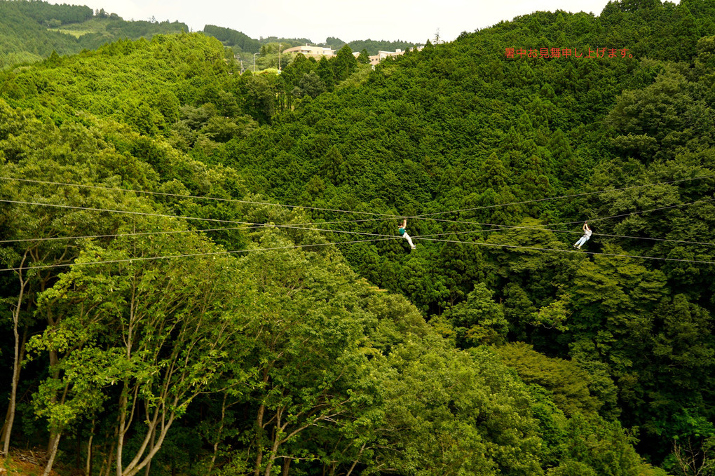 long zip slide