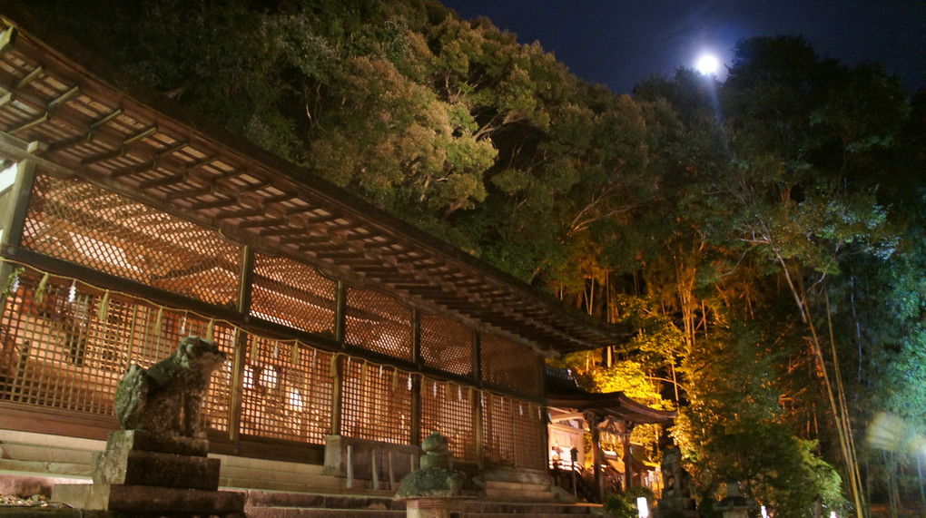 宇治上神社