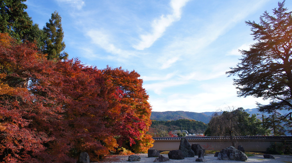 岩倉実相院の紅葉