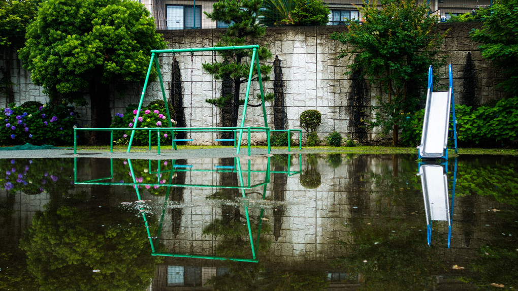 a Park in a Puddle