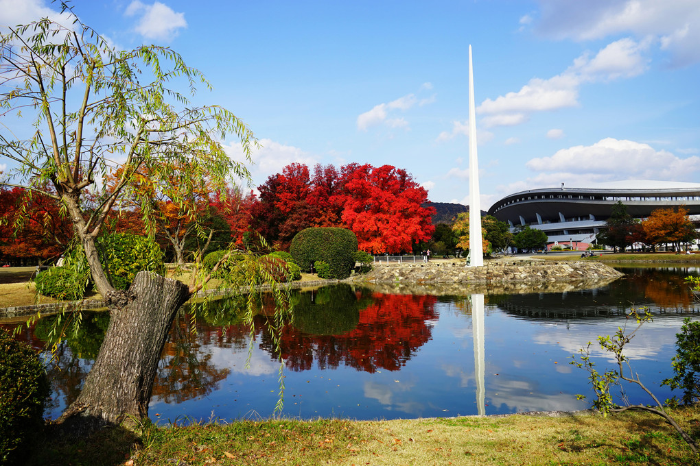 スポーツ公園の秋