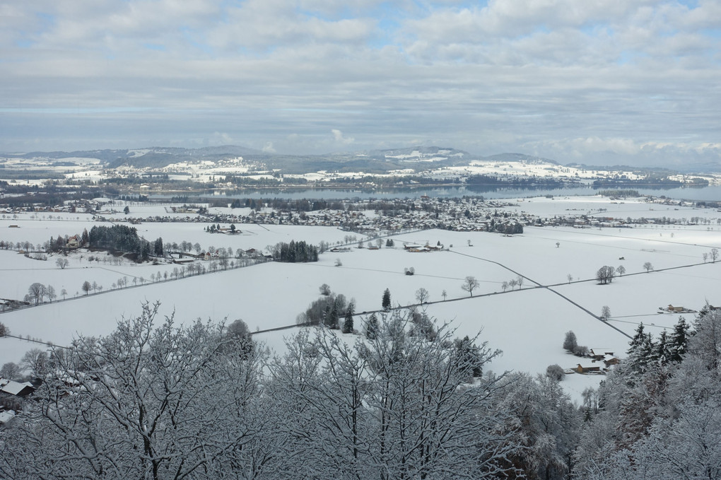 雪のノイシュバンシュタイン城