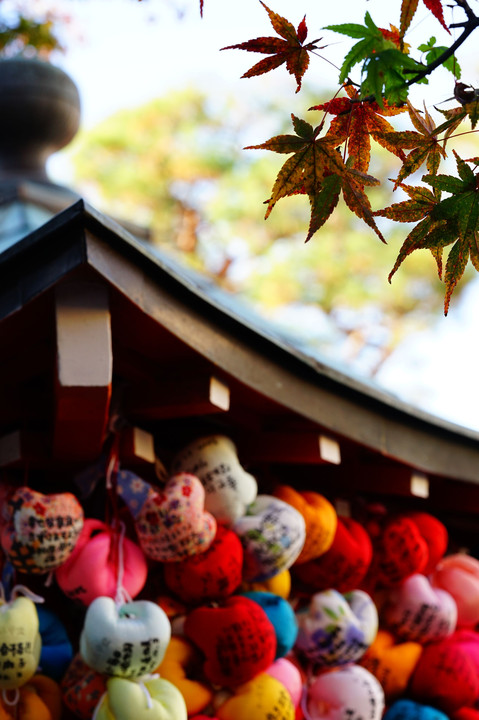 Kyoto colorful♡