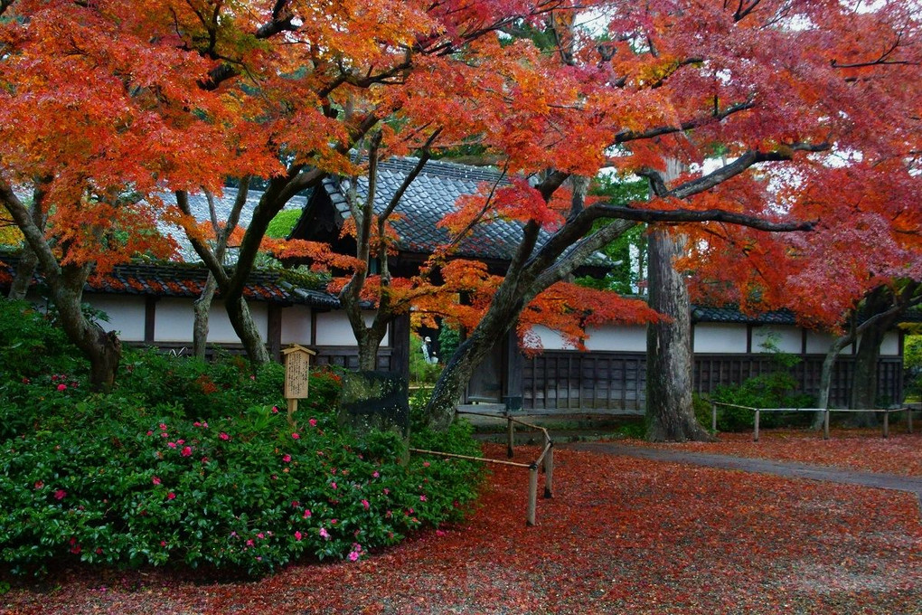 雨上がり