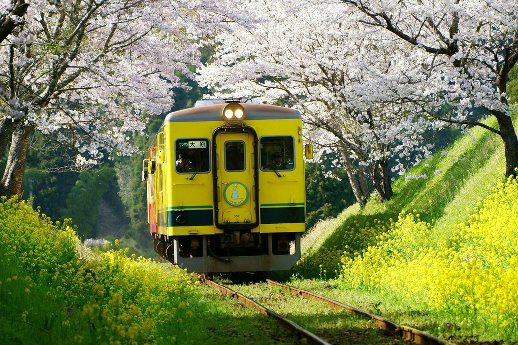 小湊鉄道＆いすみ鉄道