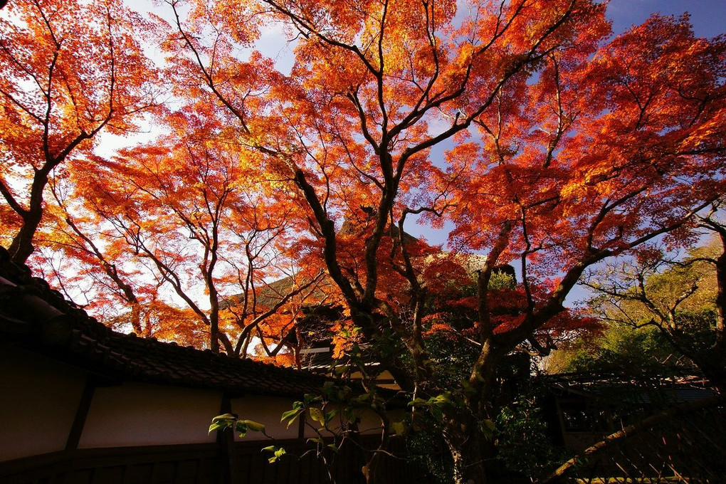 長勝寺