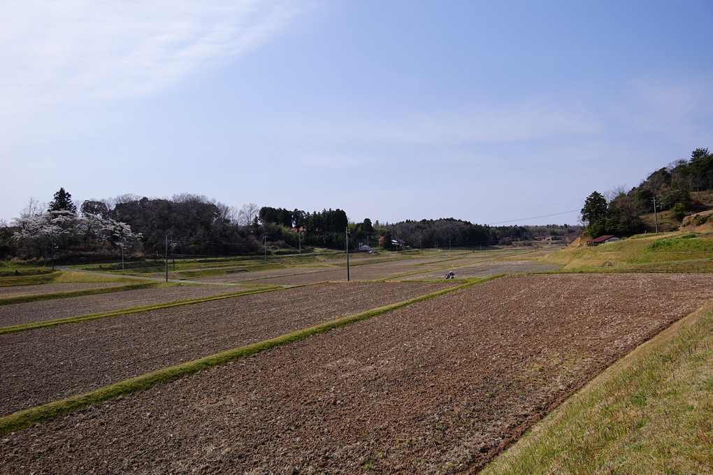 ばあちゃんの農免道路