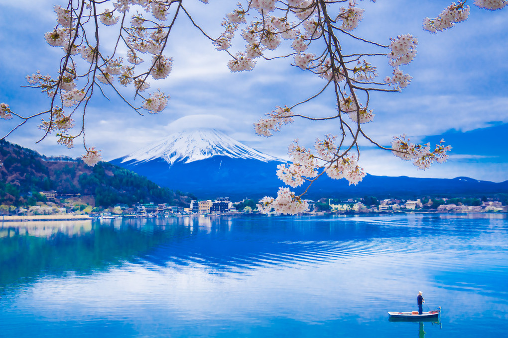 河口湖畔の桜と富士山