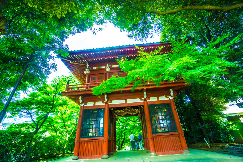 本土寺のあじさい七景