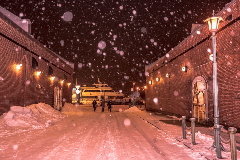 雪降る函館の夜 II