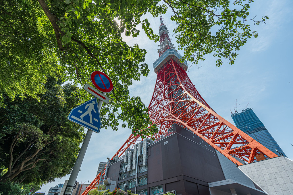 温故知新：東京タワー