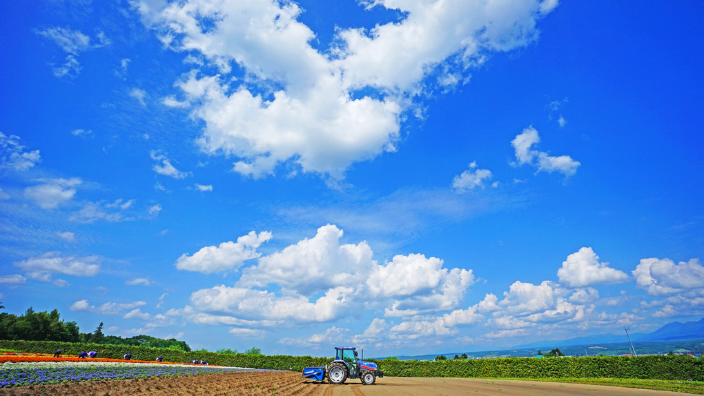 夏空を撮る＠富良野のラベンダー畑