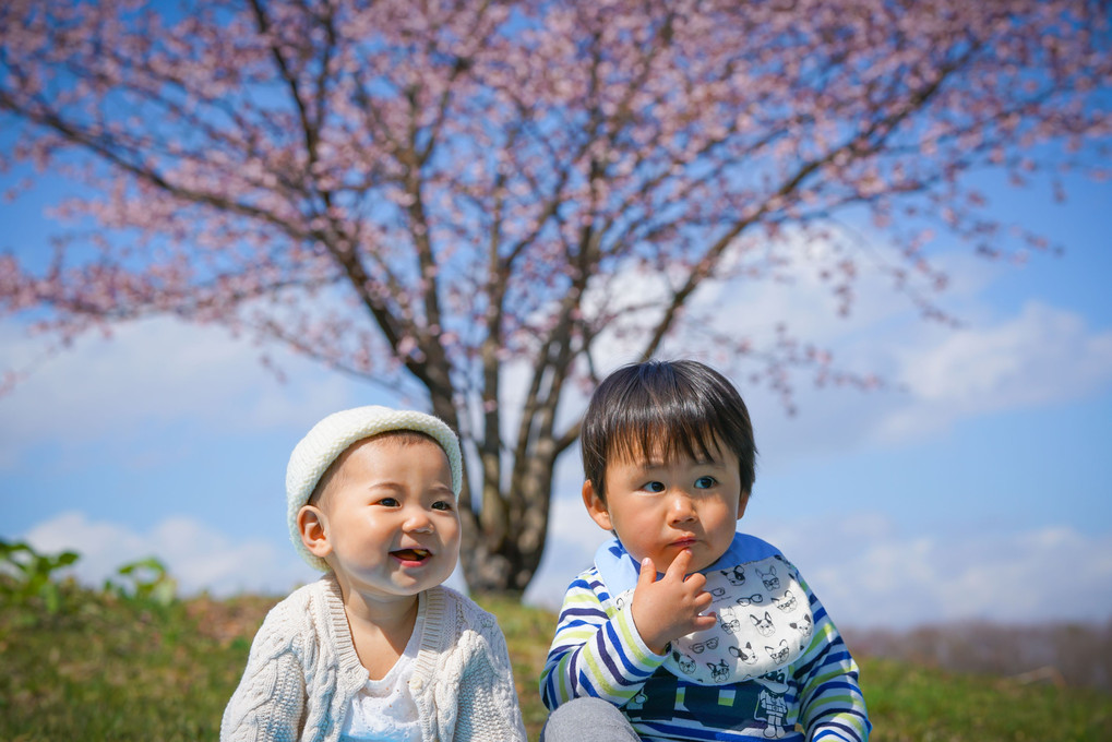 桜の木の下で