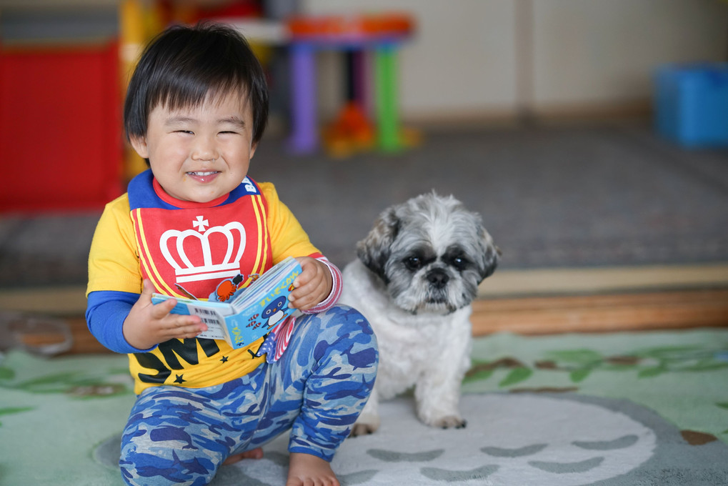 今日のれんと君（8５㎜試し撮り）