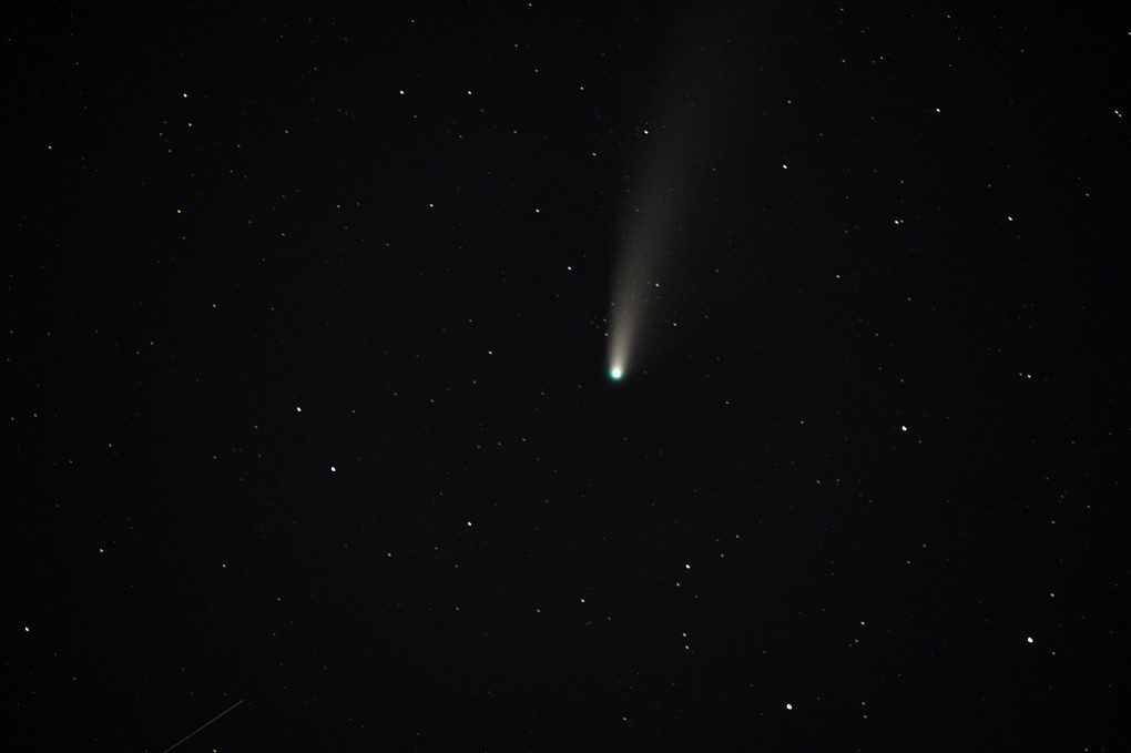ネオワイズ彗星（にわとり）庭撮