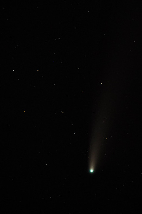 ネオワイズ彗星（にわとり）庭撮
