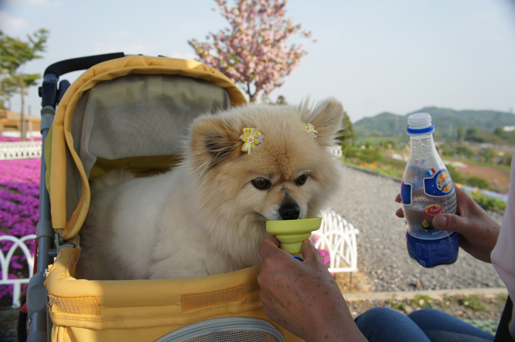 わが家の長男です。