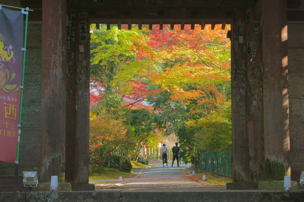 京都・醍醐寺の紅葉