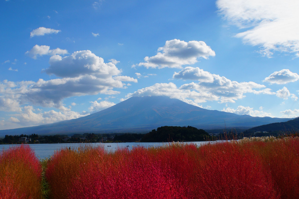 富士山を追いかけて
