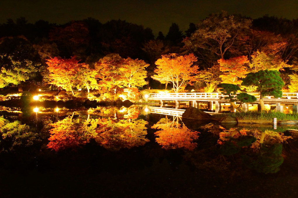 昭和記念公園のプレライトアップ