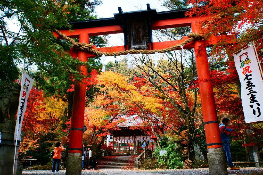 京都・鍬山（くわやま）神社紅葉