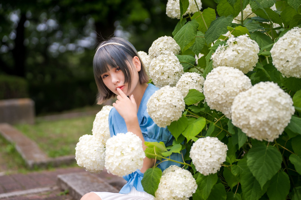 天酒じゅりさんと紫陽花ポートレート