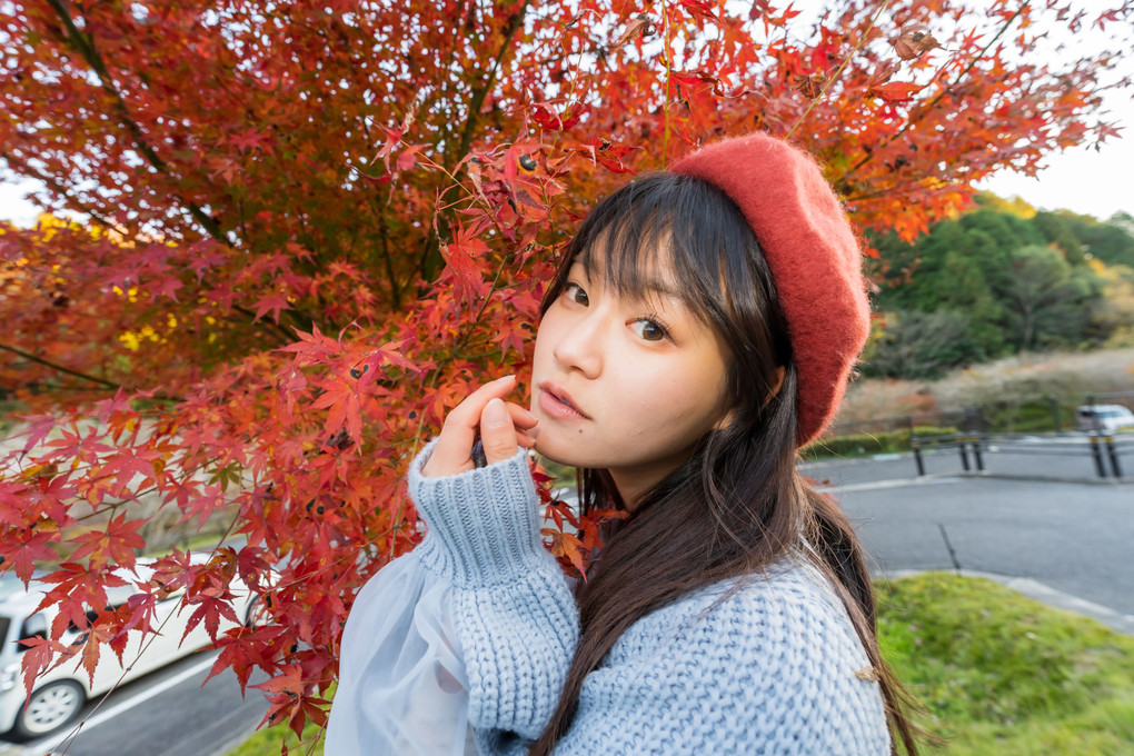 小原四季桜と紅葉のポートレート