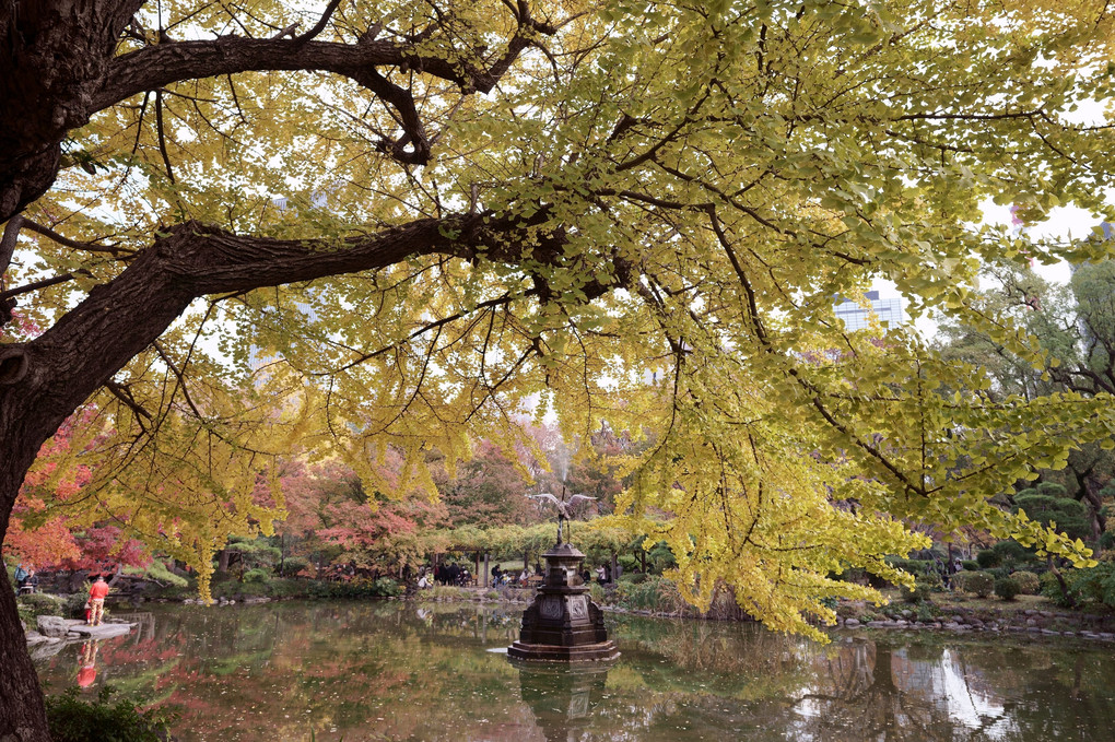 秋色探し＠日比谷の公園編