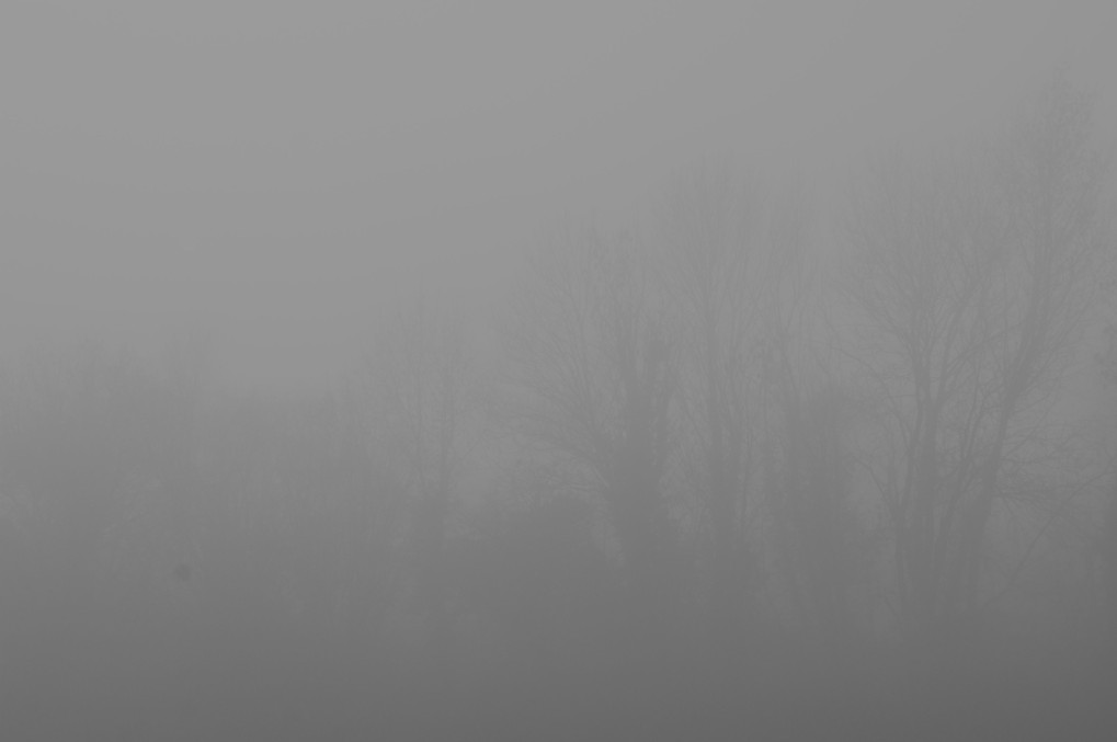 背景は霧
