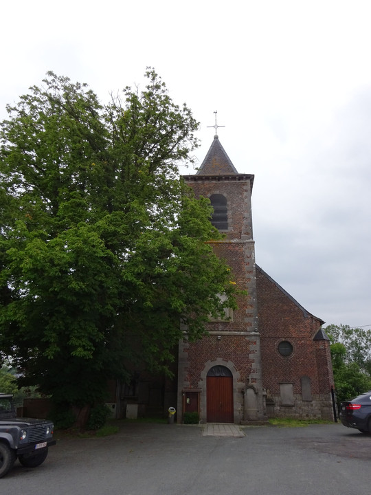 教会の大木