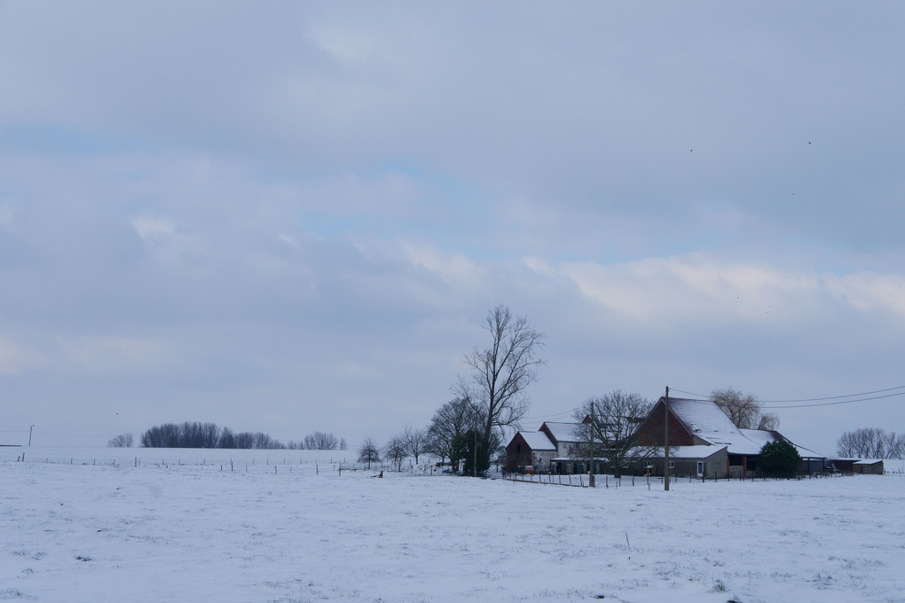 農家の雪景色