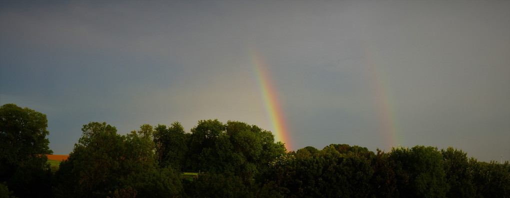 ゲリラ豪雨後の虹