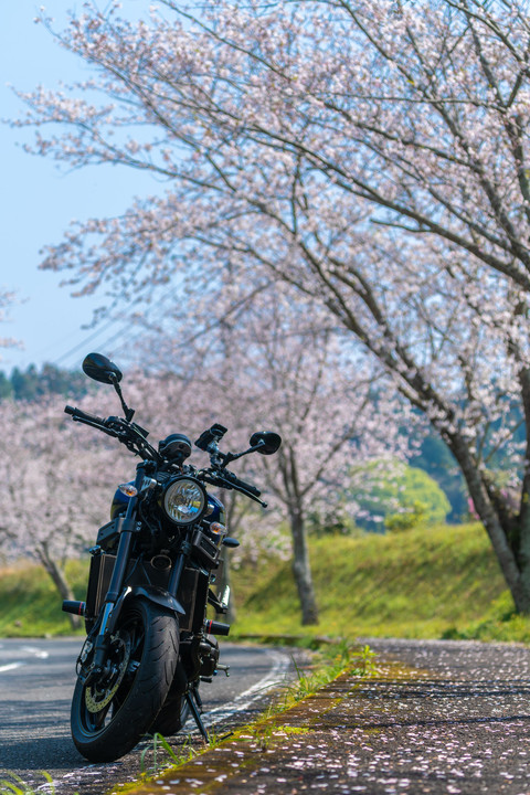 バイク乗り換え