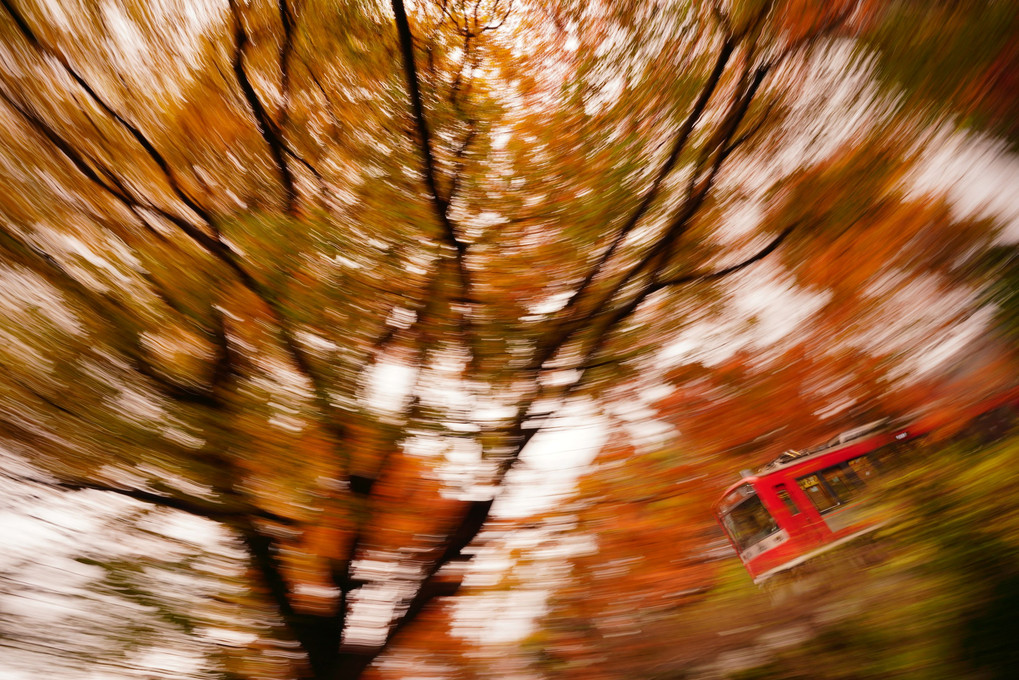 晩秋の箱根でぐ～るぐる