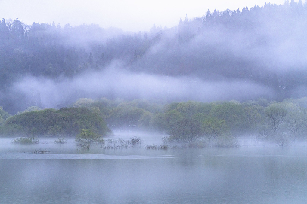 霧湧く湖面