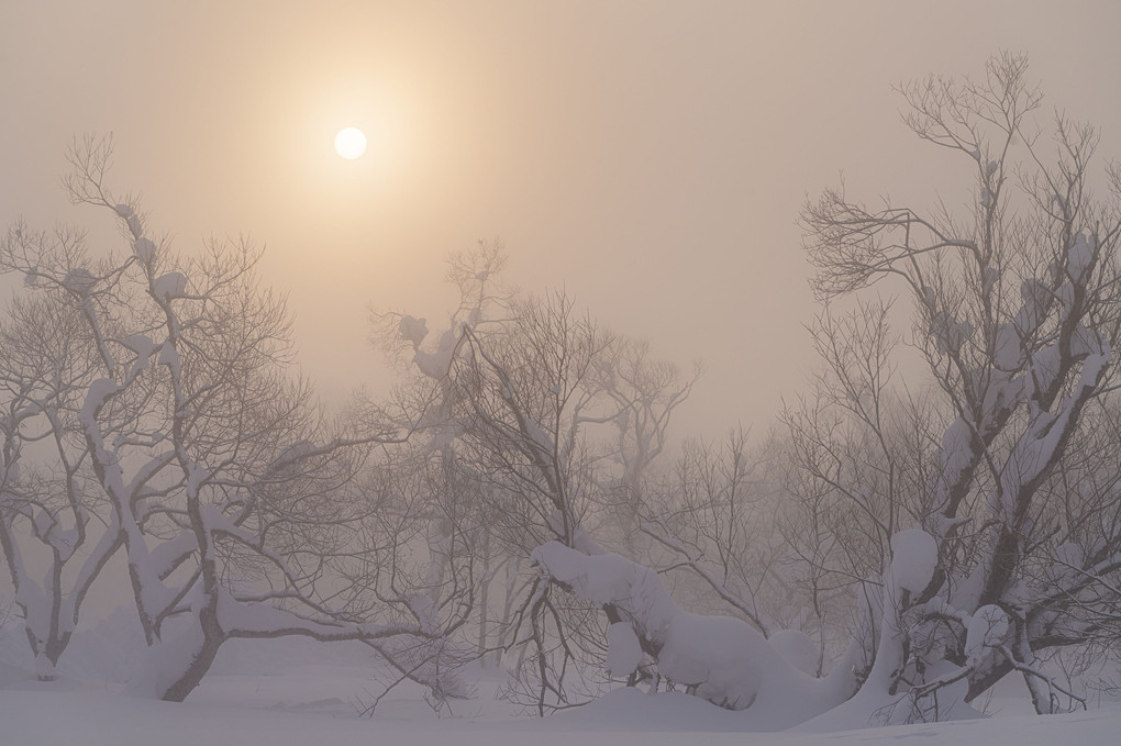 雪空に霞む