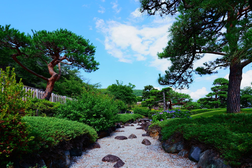 舞鶴城公園の紫陽花