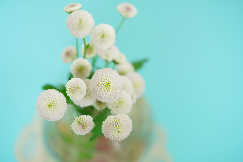 日常に花を