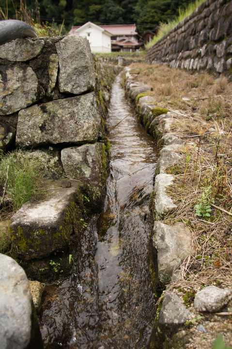 県北の山にて2～段々畑の用水路