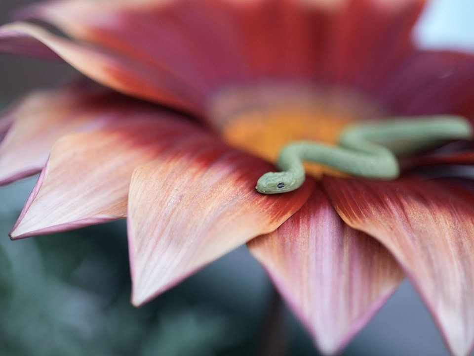 プランターに植えた美しい花と…