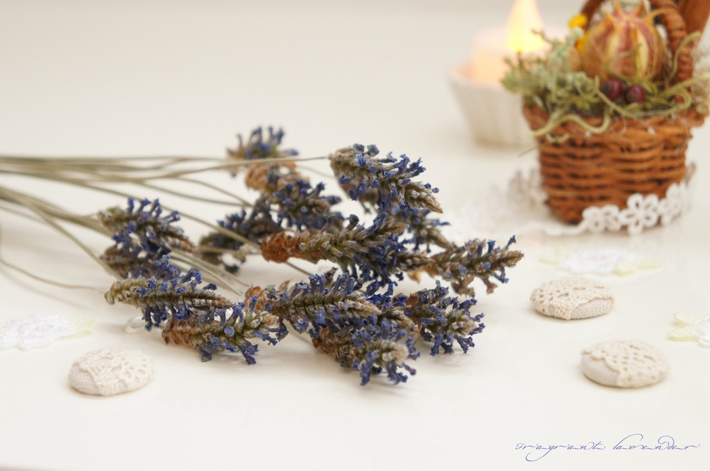 癒し…Lavender*