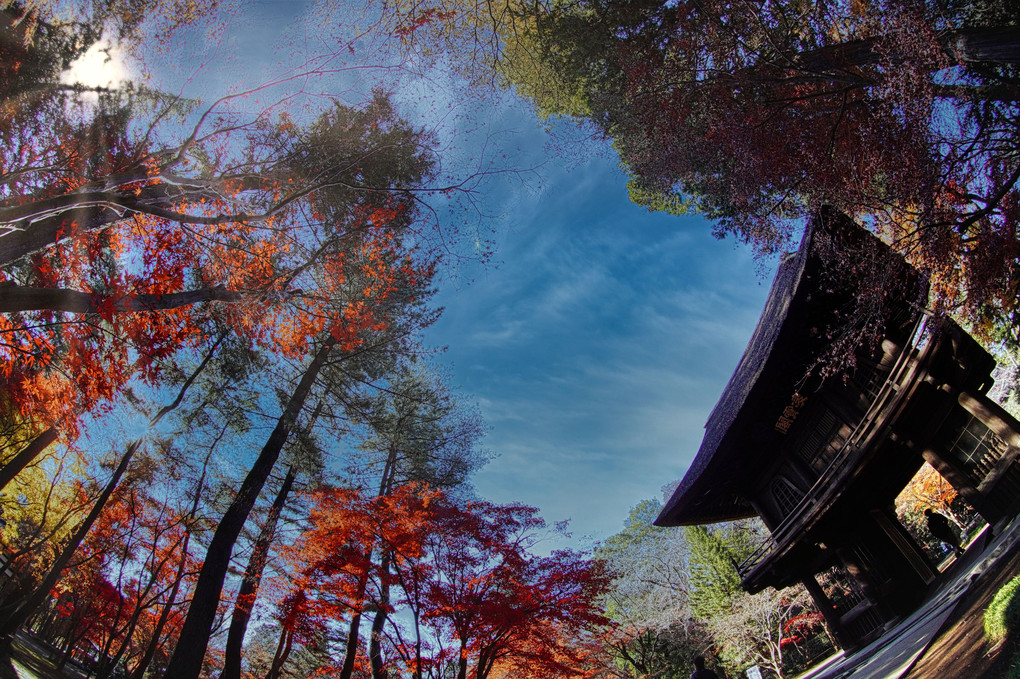 平林寺 魚眼📷