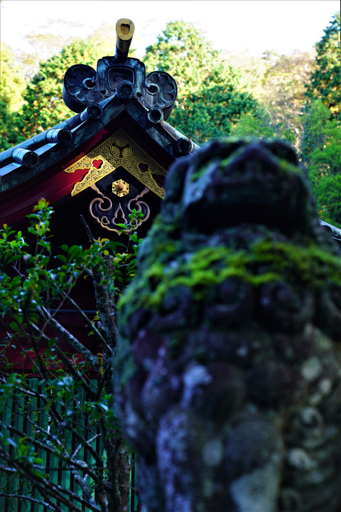 箱 根 神 社 ⛩