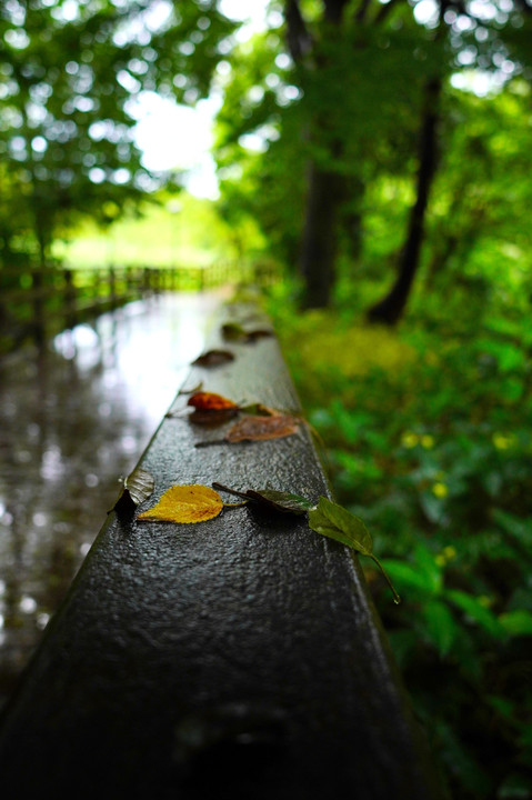 Wet handrail