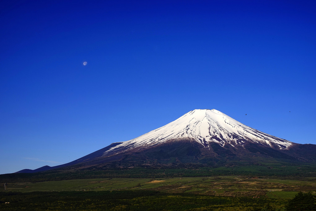 Mount Fuji