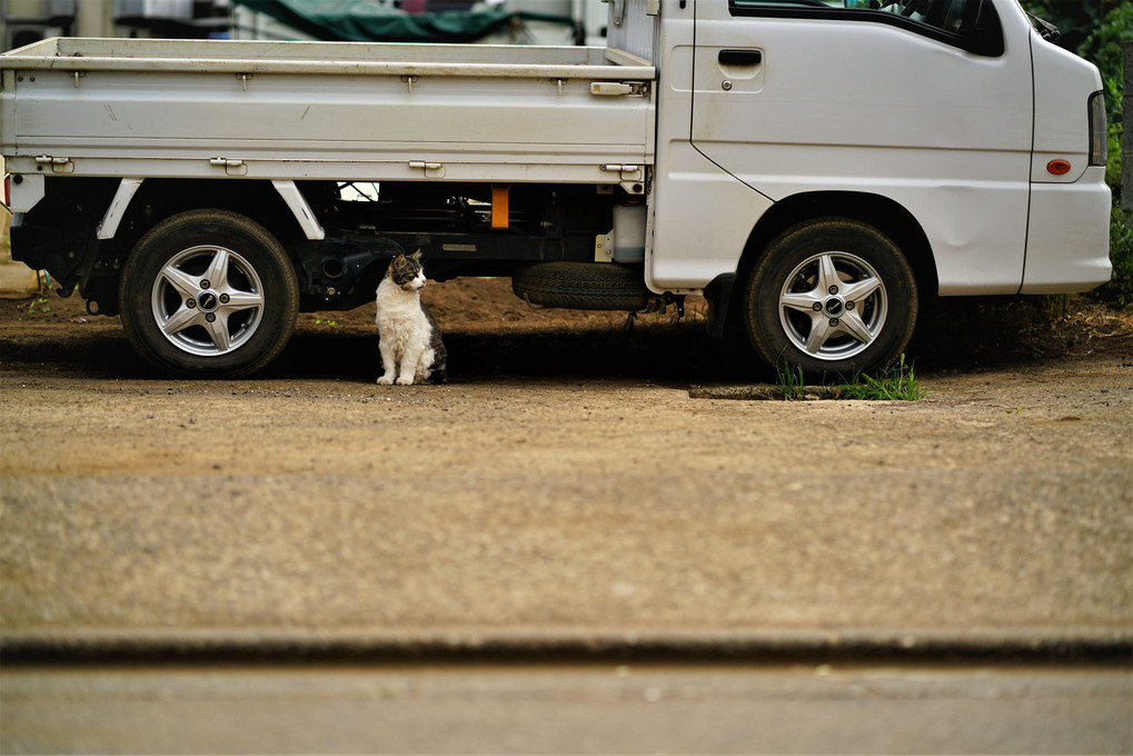 lightweight truck & lightweight nyanko