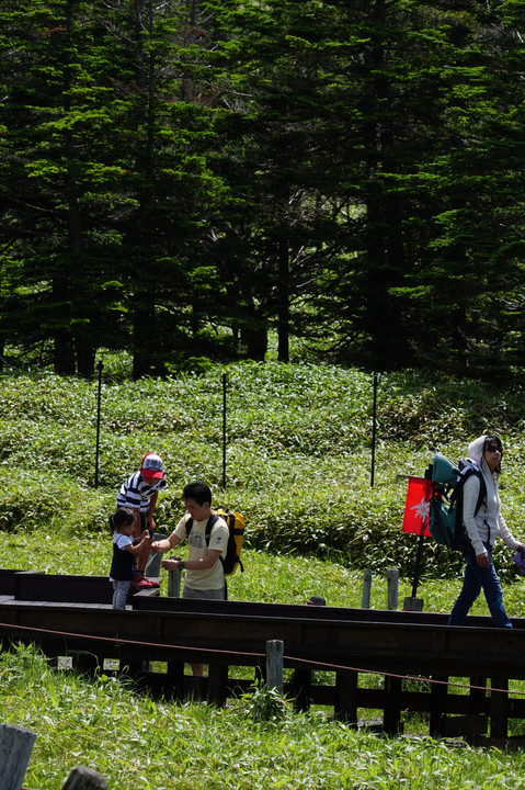 それぞれの思い出づくり（北八ヶ岳ロープウエイ山頂にて）