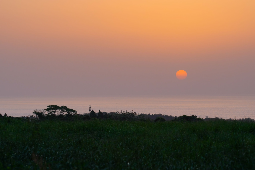 春の夕日