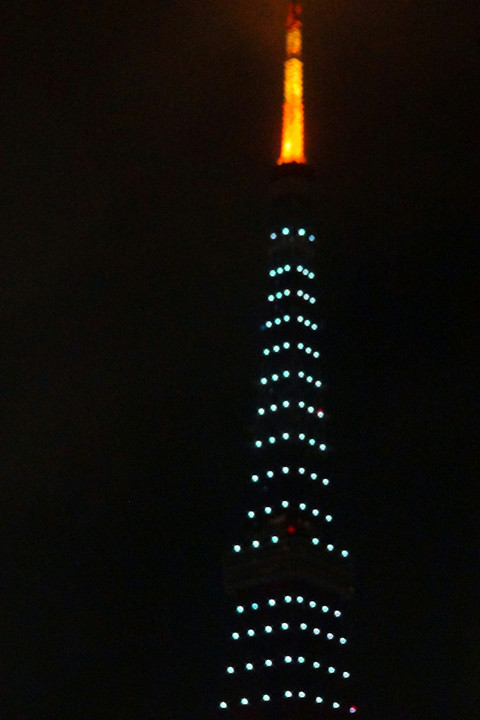 本日の東京タワー